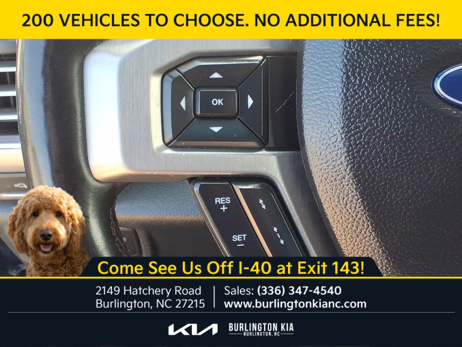 Used 2020 Blue Ford Platinum image 20