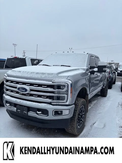 Used 2023 Silver Ford Platinum image 1