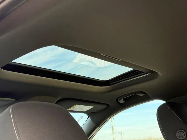 View 6