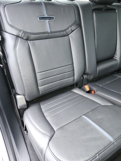 2025 Ford F-150 Platinum - Photo 59