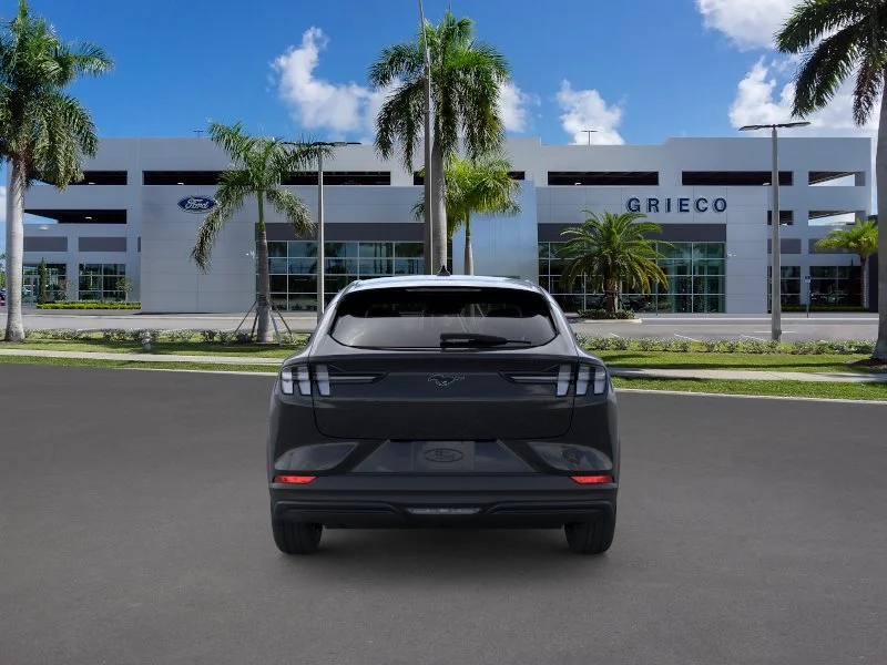 New 2026 Shadow Black Ford Premium image 20