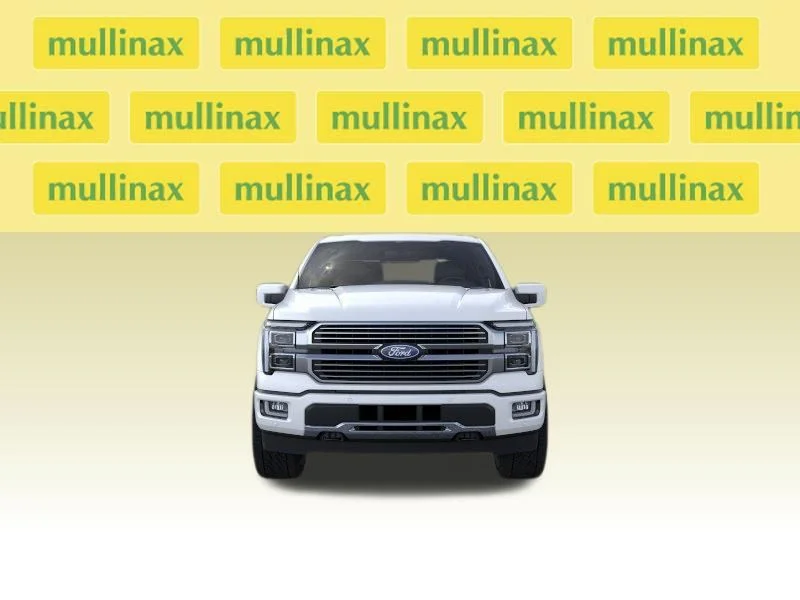 New 2026 White Ford Platinum image 16