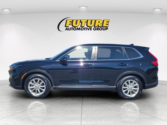 Used 2024  Honda EX-L image 6