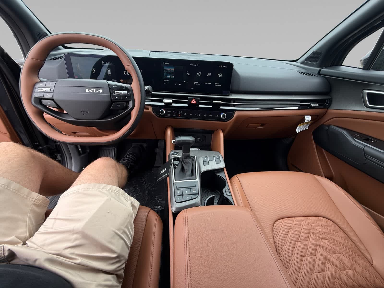 New 2026 Panthera Metal Gray Kia X-Line image 21