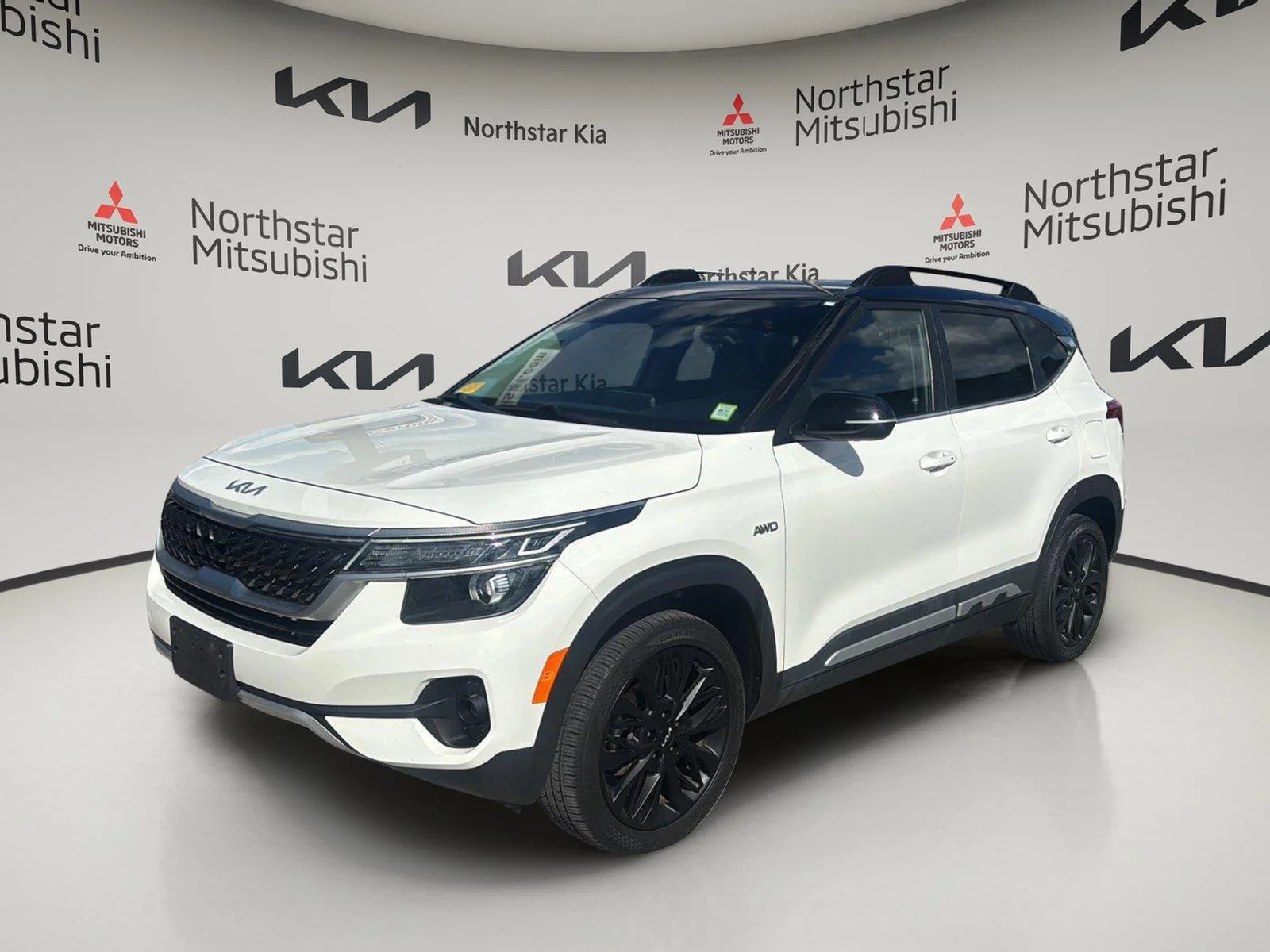 Used 2022 Clear White/Black Roof Kia Nightfall image 1
