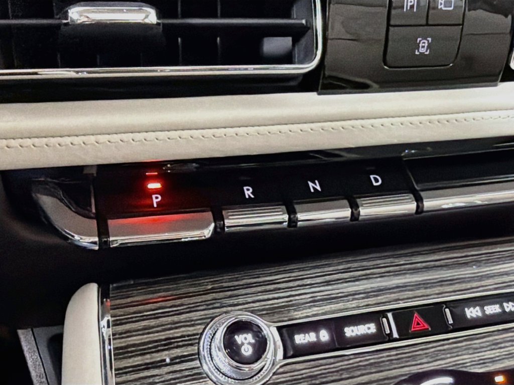 Used 2020 Radiance Metallic Lincoln Black Label image 17