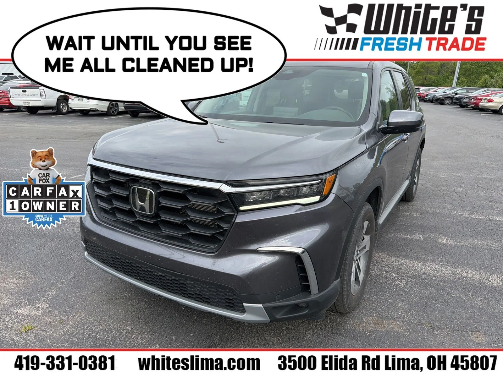 2025 Honda Pilot EX-L AWD's photo