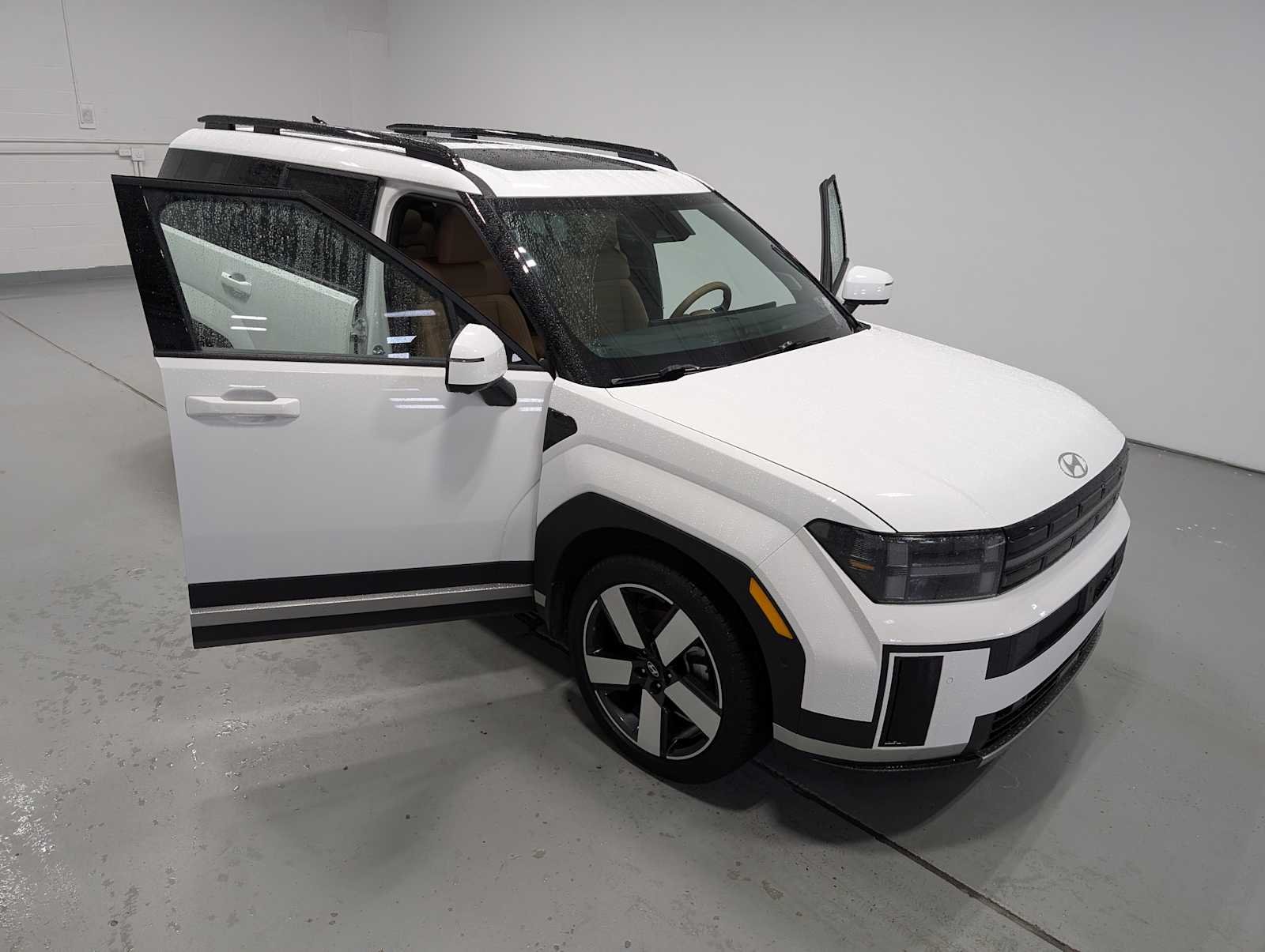 Used 2025 Serenity White Hyundai Limited image 16