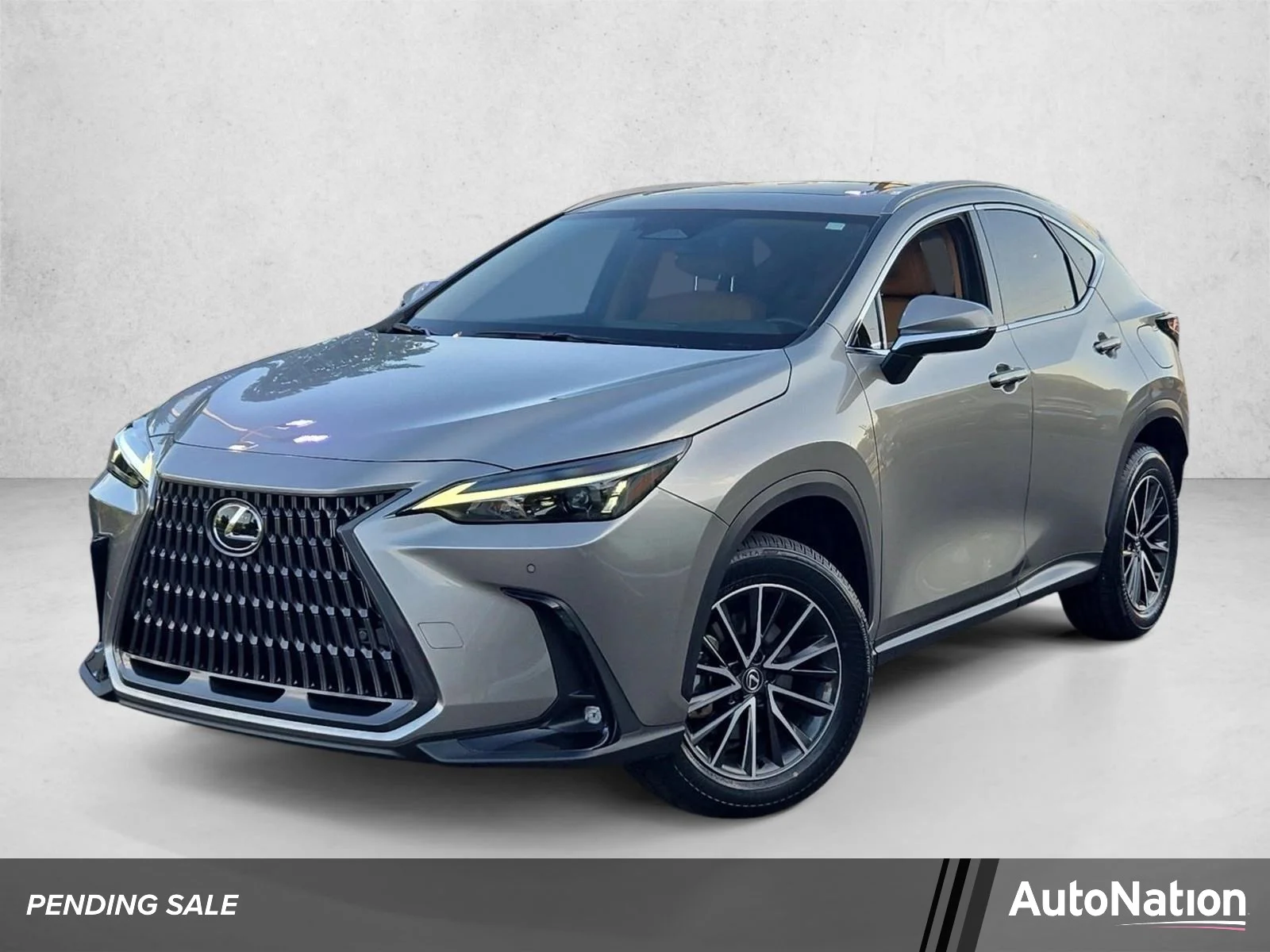 2024 Lexus NX