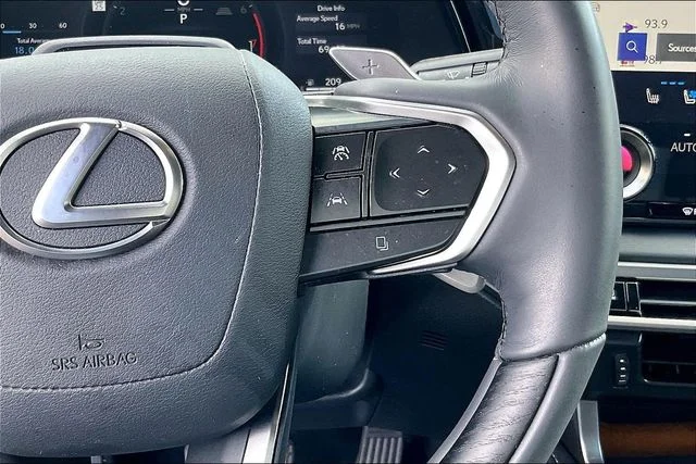 2025 Lexus RX 350 - Photo 18