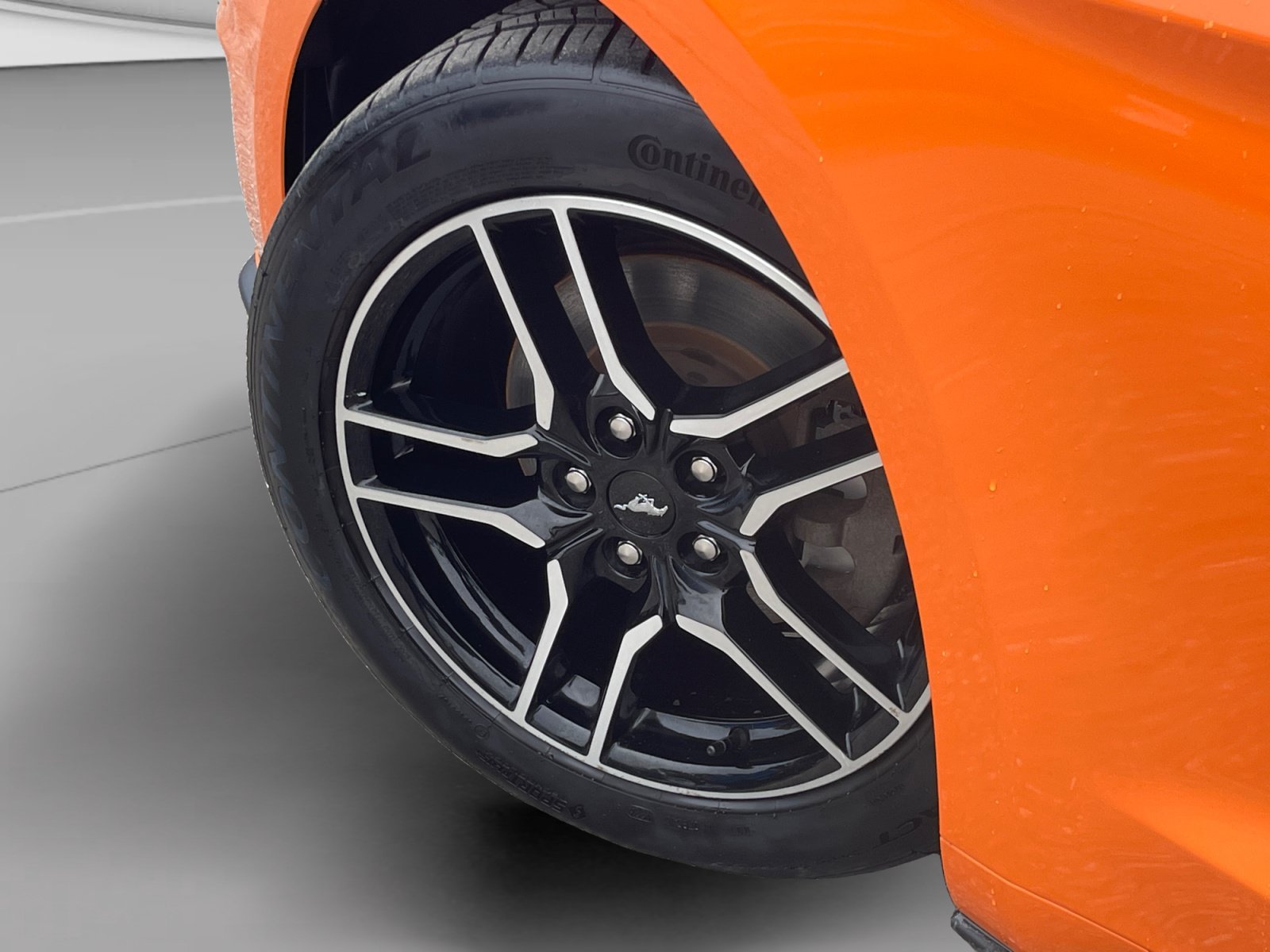2021 Ford Mustang EcoBoost Premium - Photo 14