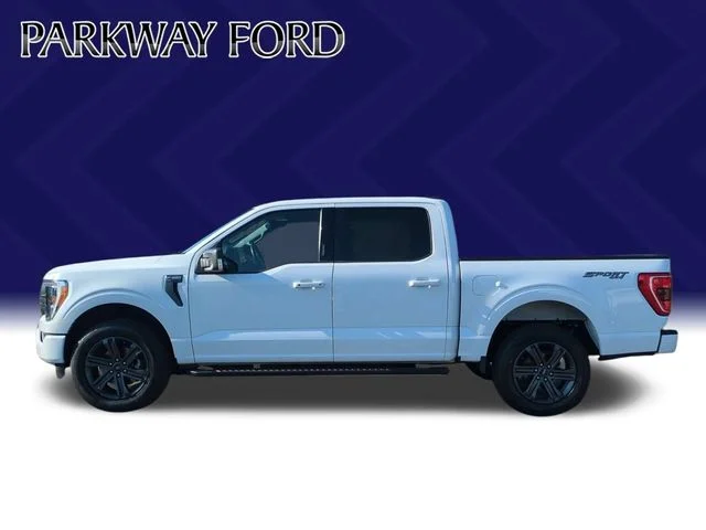 Used 2023 White Ford XLT image 2