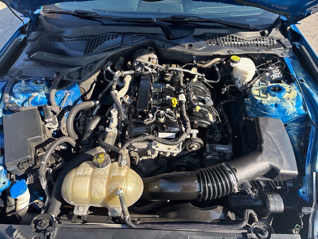 Used 2021 Blue Ford EcoBoost Premium image 11