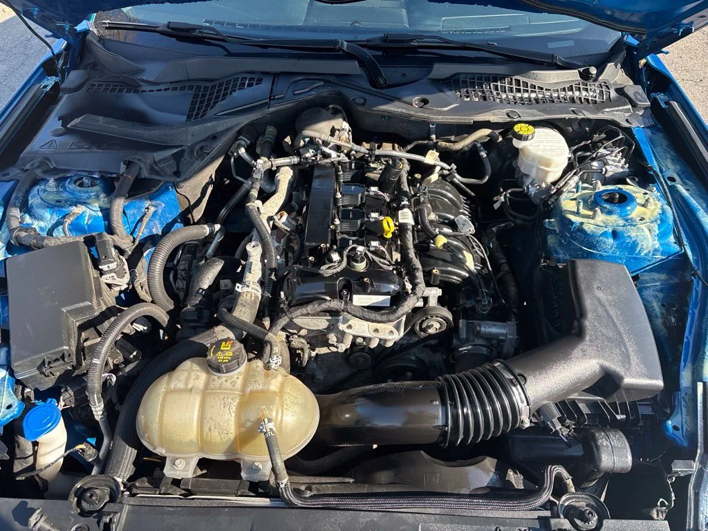 Used 2021 Blue Ford EcoBoost Premium image 11