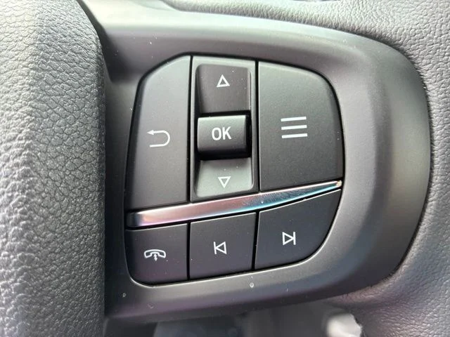 New 2026 Marsh Gray Ford Lariat® image 31