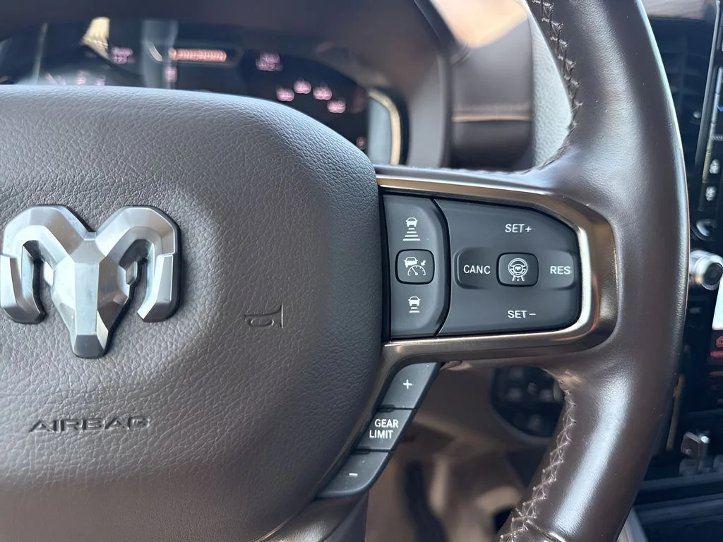 Used 2025 Black Ram Limited image 18