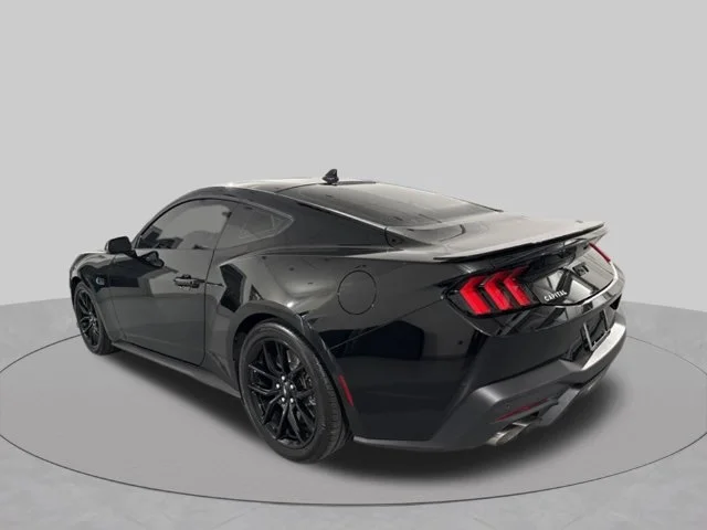 Used 2025 Black Ford GT Premium image 6