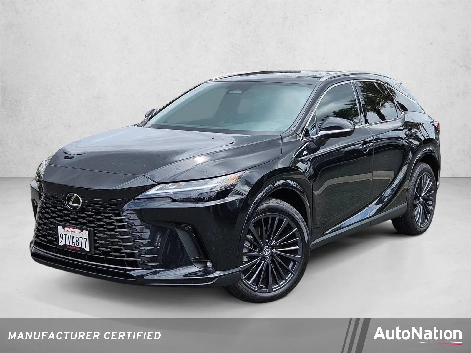 2025 Lexus RX 350h 350h Premium AWD's photo