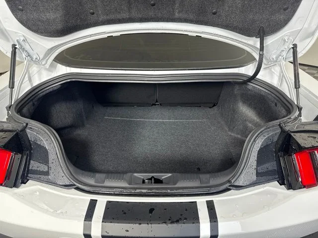 New 2026 Oxford White Ford EcoBoost image 19