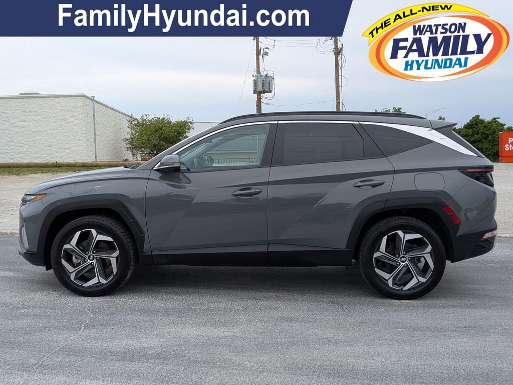 2024 Hyundai Tucson Limited - Photo 6