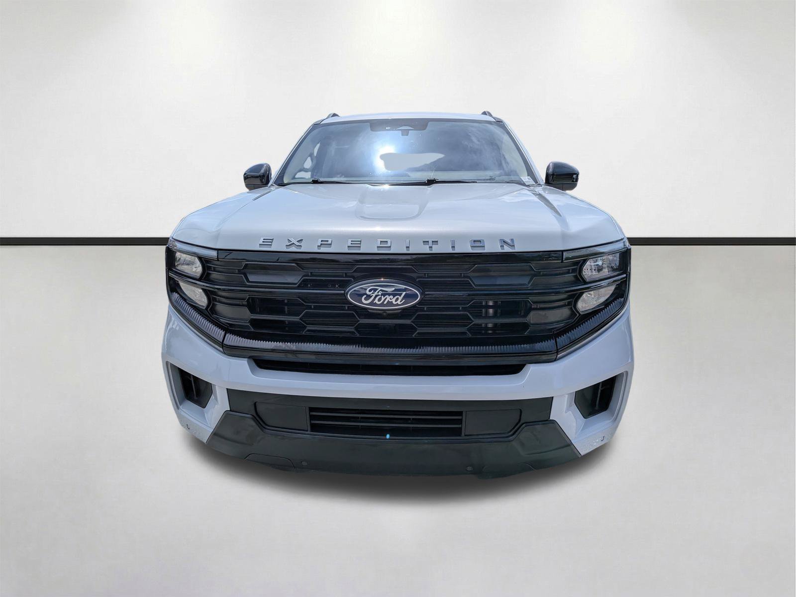 2025 Ford Expedition Active - Photo 9