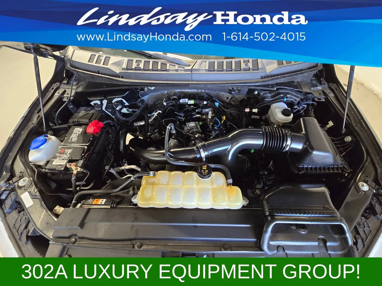 Used 2020 Agate Black Metallic Ford XLT image 24