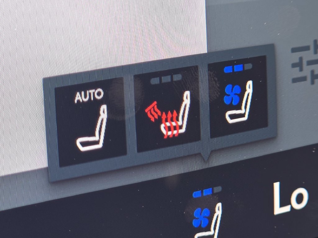 New 2026 Ultra White Lexus PREMIUM image 15