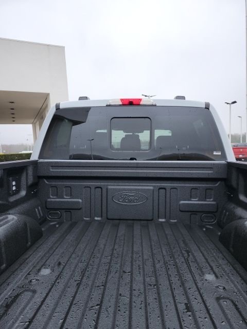 2025 Ford F-150 Platinum - Photo 20