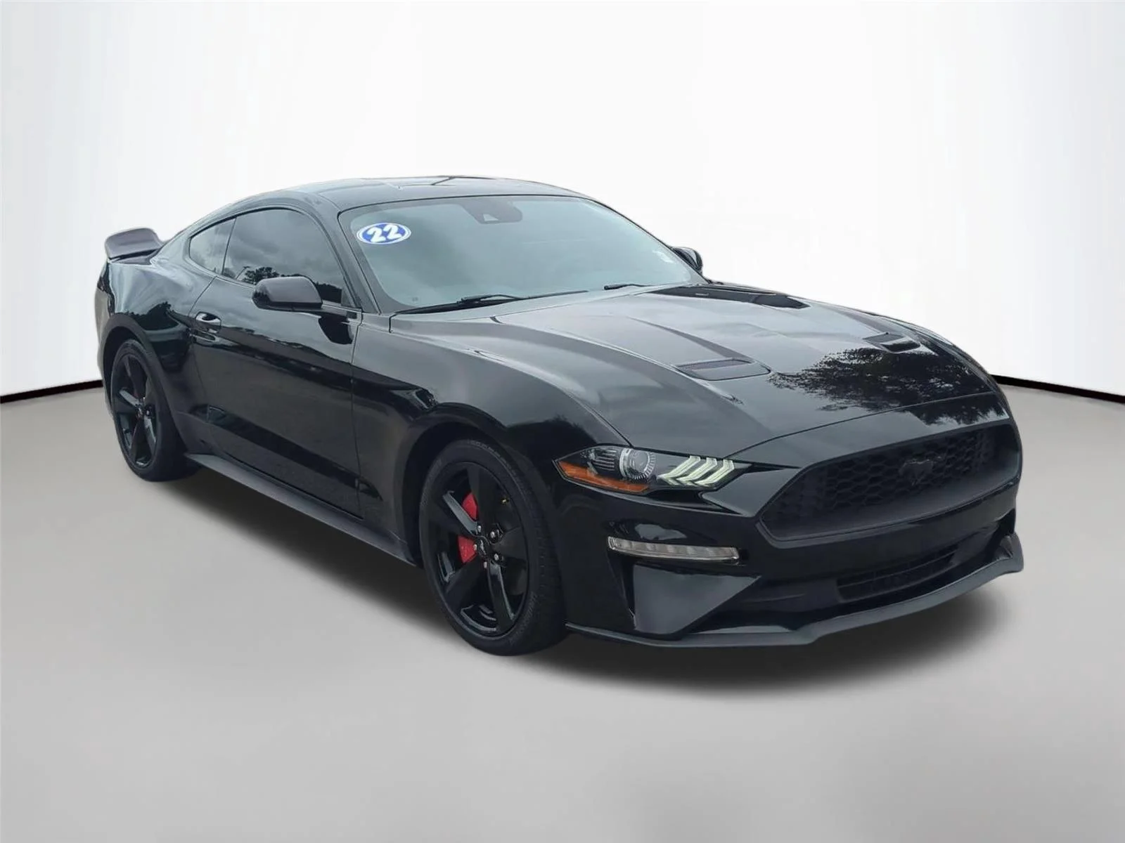 Used 2022 Shadow Black Ford EcoBoost image 7