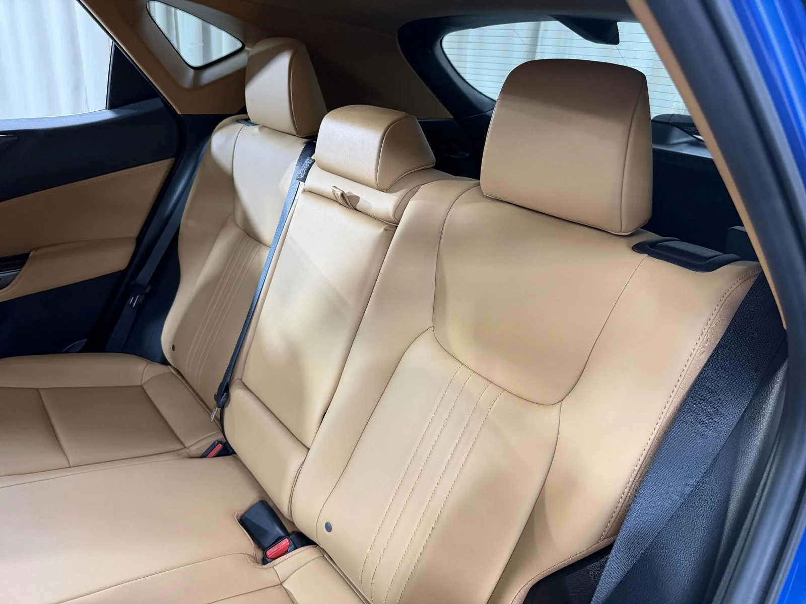 Used 2024 Grecian Water Lexus NX 350h Premium image 40