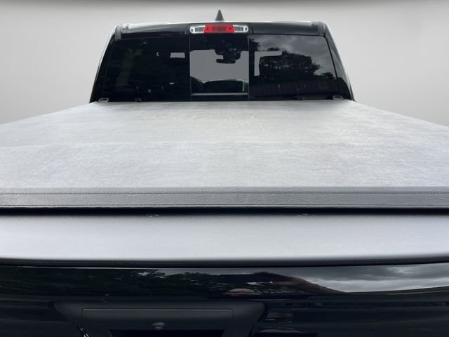 New 2026 Diamond Black Crystal Pearl-Coat Exterior Paint RAM Express image 11