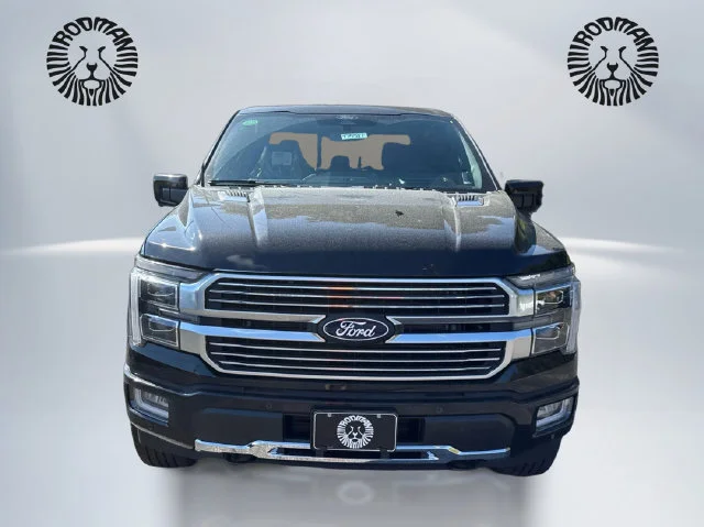 New 2026 Agate Black Metallic Ford Platinum® image 2