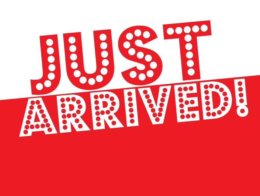 2013 Volkswagen Tiguan SE