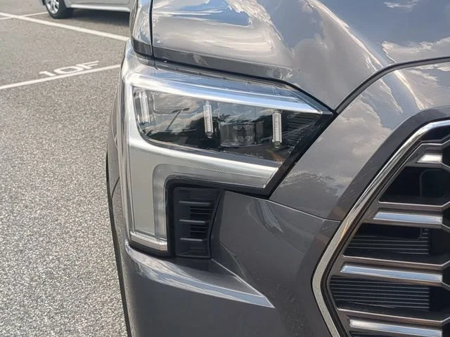 New 2026 Magnetic Gray Metallic Toyota Platinum image 10