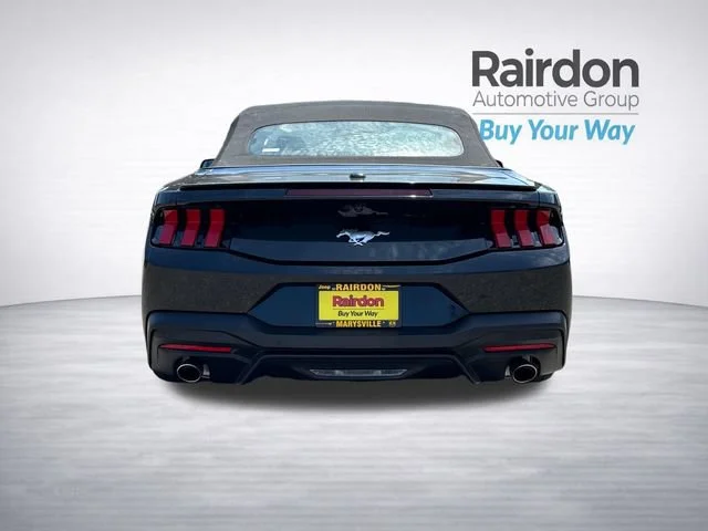 Used 2024 Shadow Black Ford EcoBoost Premium image 6
