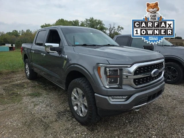 Used 2023 Carbonized Gray Metallic Ford Platinum image 2