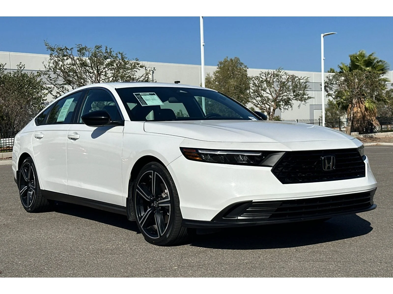 Used 2025 Platinum White Pearl Honda Sport image 8