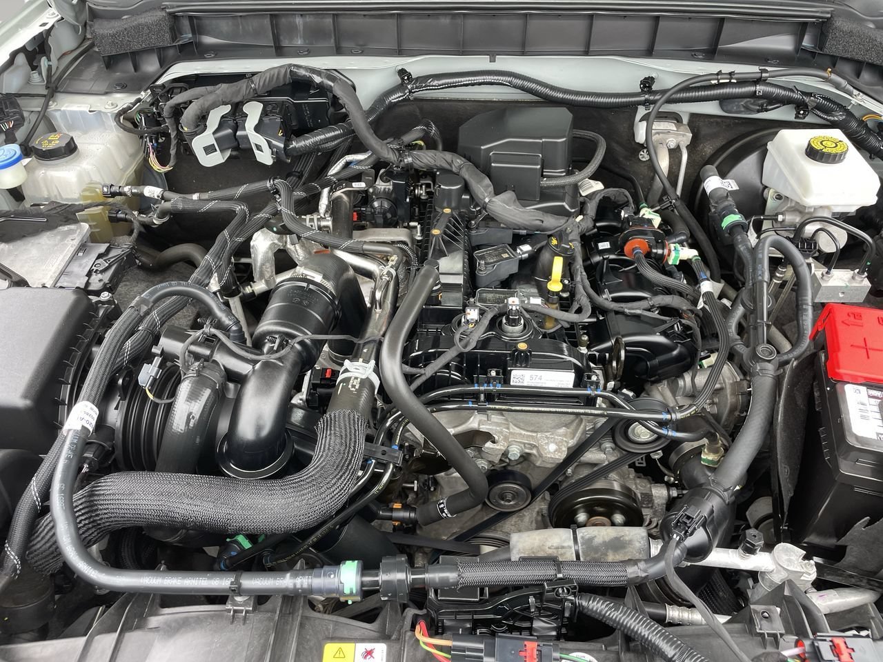 Used 2022 Cactus Ford Base image 9