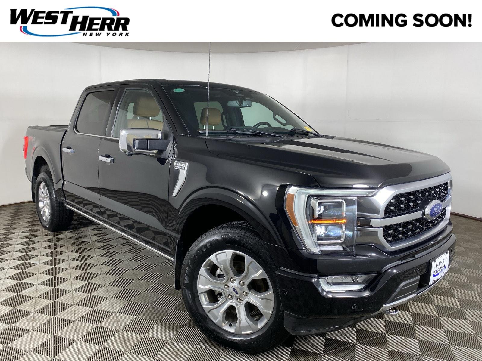 Used 2023 Agate Black Ford Platinum image 1