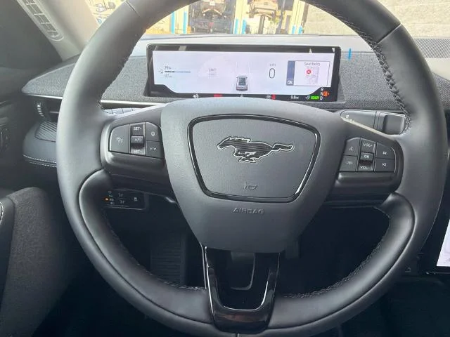 New 2026 Shadow Black Ford Premium image 48