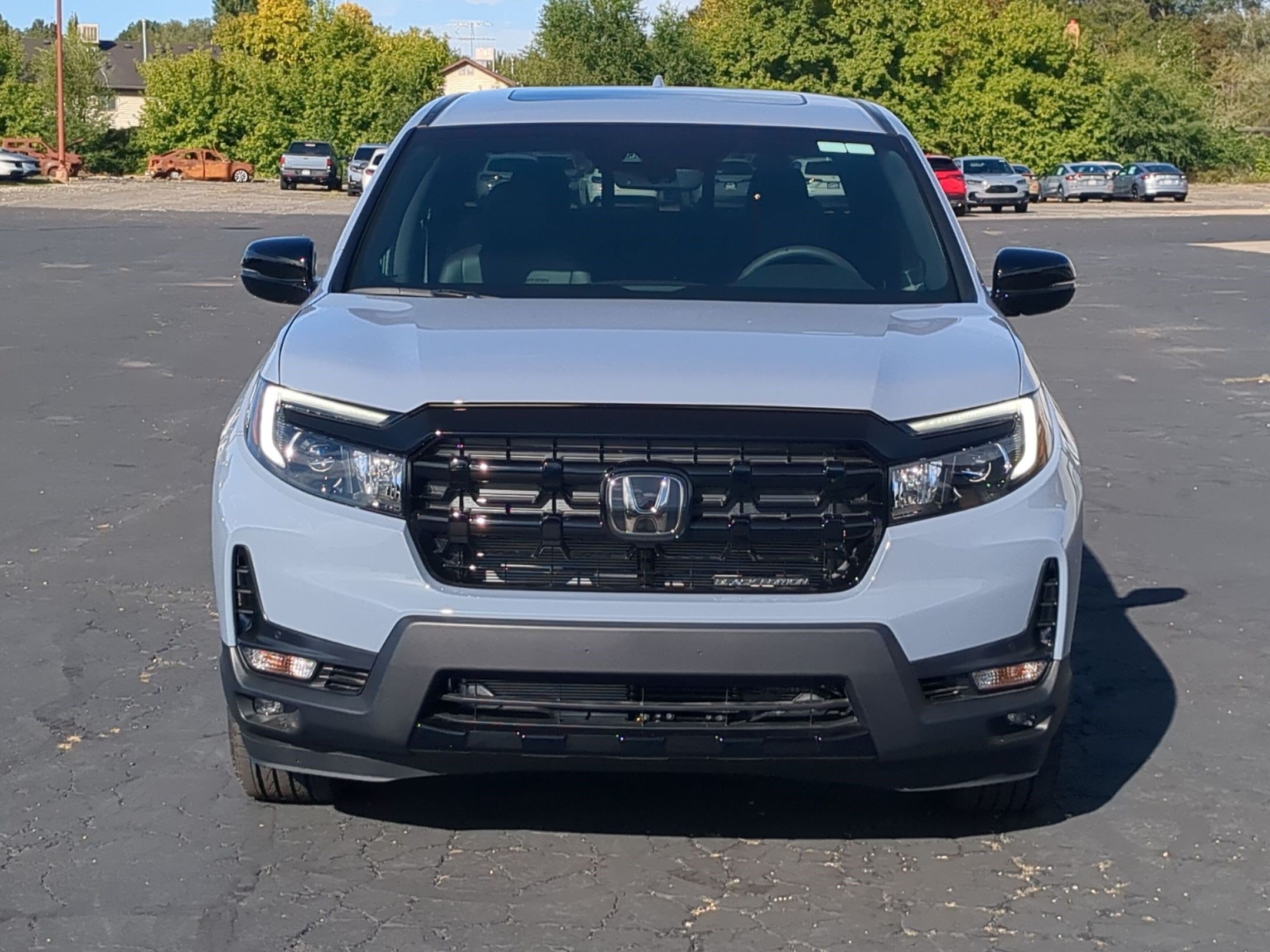 New 2026 Sonic Gray Pearl Honda Black Edition image 9
