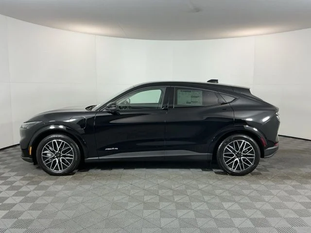 New 2026 Shadow Black Ford Premium image 8