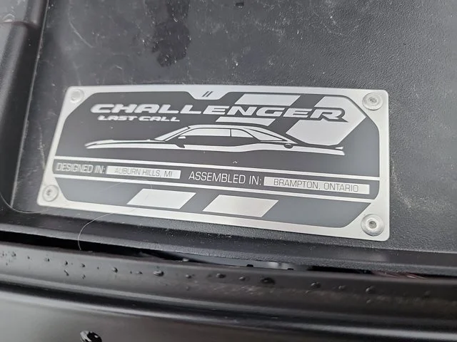 Used 2023 Go Mango Dodge R/T image 10