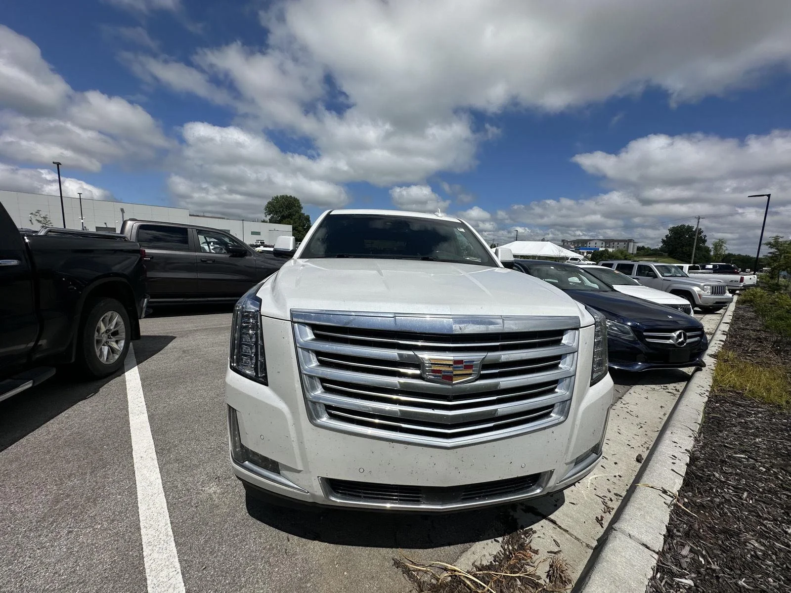 Used 2016 Crystal White Tricoat Cadillac Platinum image 5