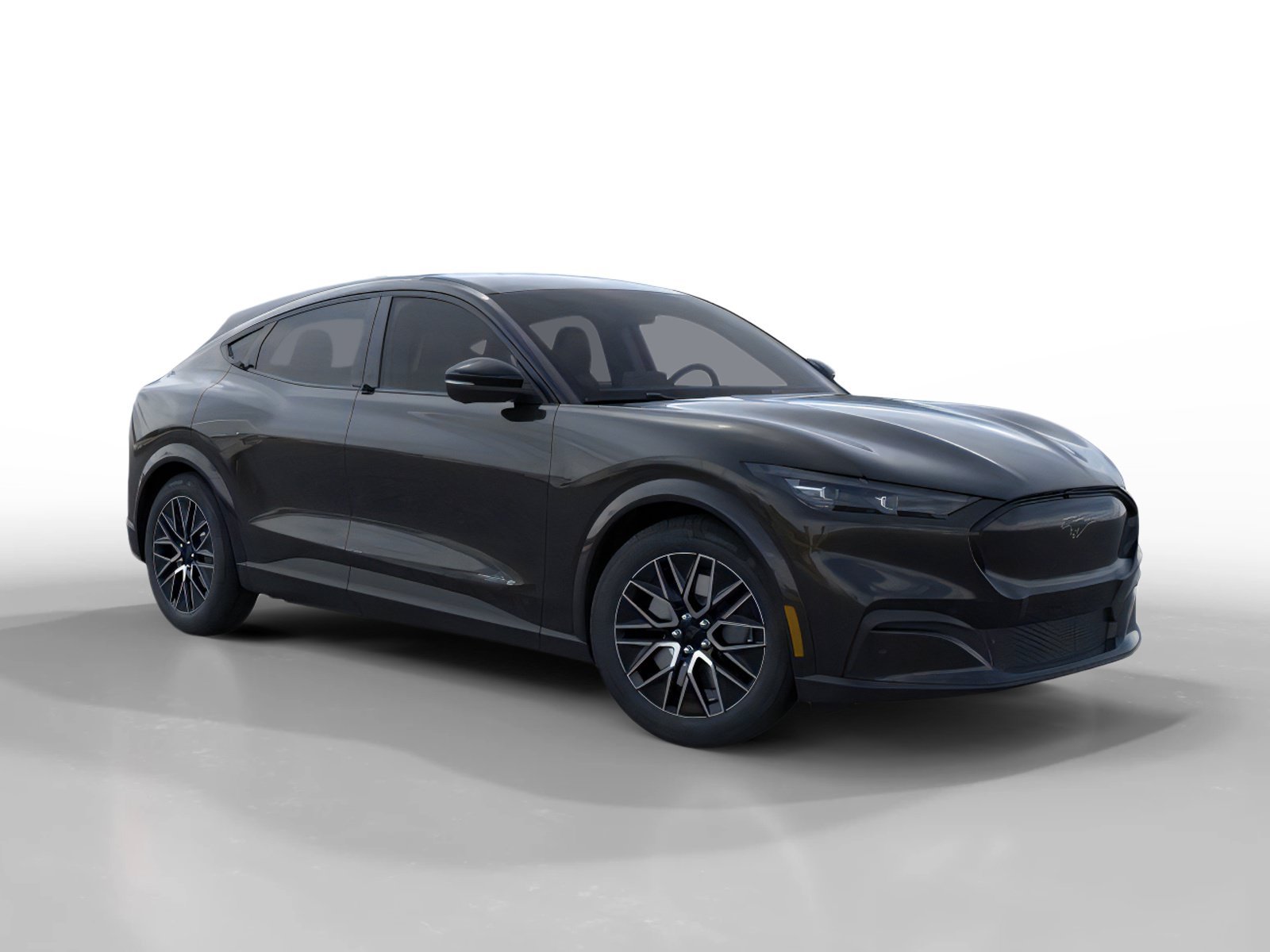 New 2026 Shadow Black Ford Premium image 7