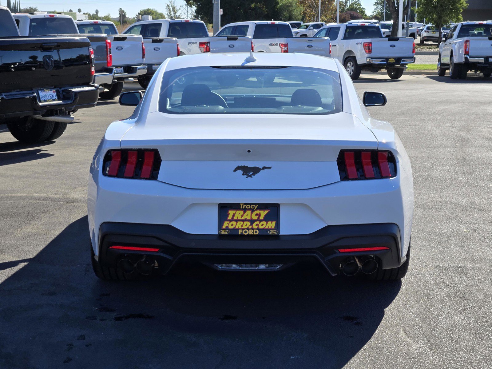 New 2026 Oxford White Ford EcoBoost® Fastback image 5