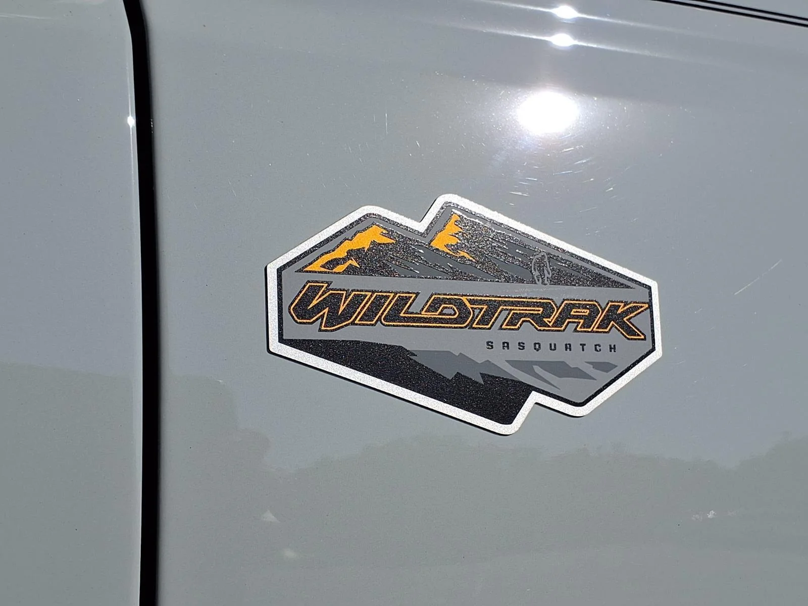 Used 2024 Cactus Gray Ford Wildtrak image 34