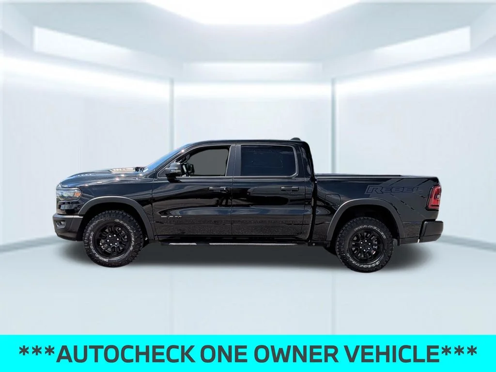 Used 2025 Black Ram Rebel image 2