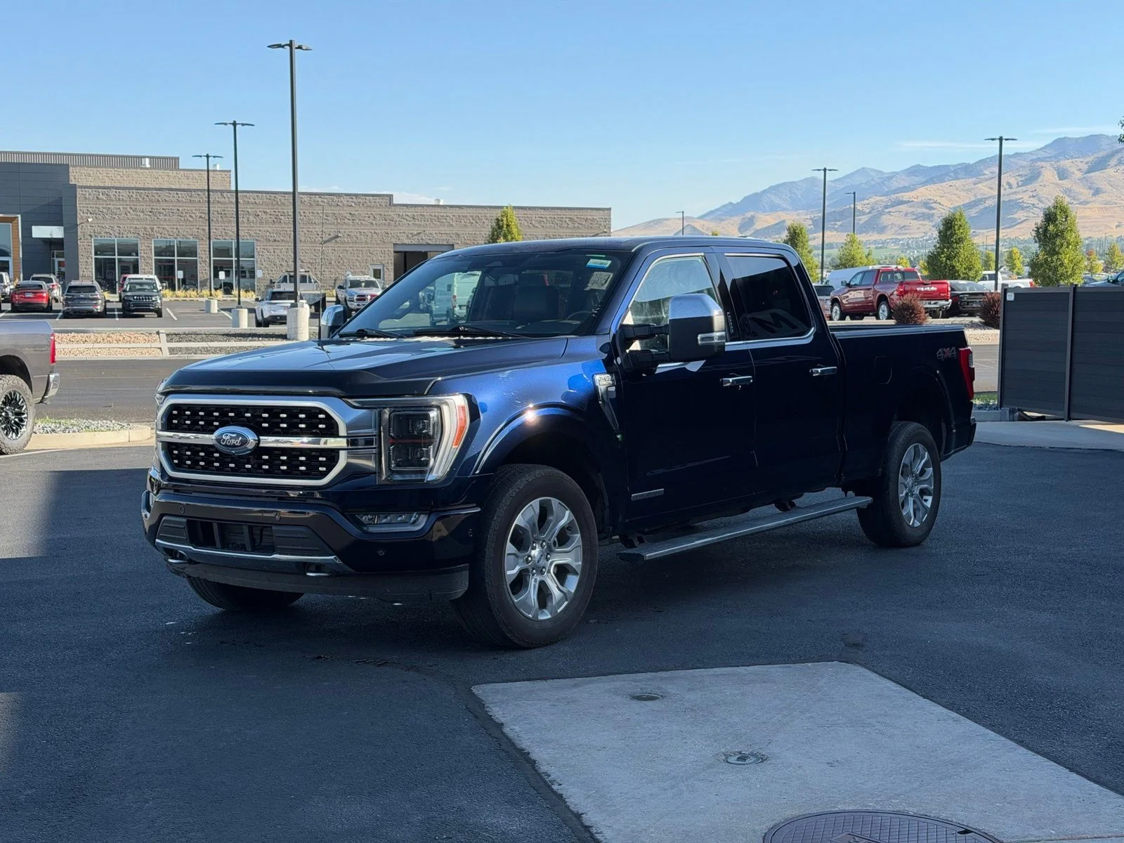 Used 2023 Black Ford Platinum image 6