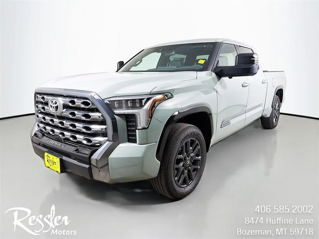 New 2026  Toyota Platinum image 1